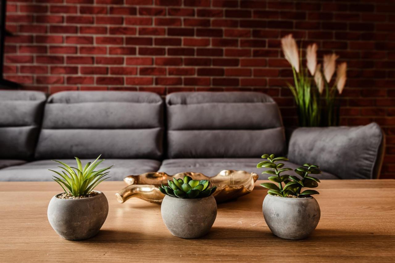 Loft Apartament Aleje Wolnosci Nowy Sącz Dış mekan fotoğraf